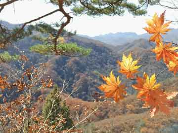 小米运动健康息屏显示，智能生活的健康守护神